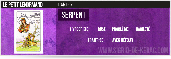 carte du serpent petit lenormand