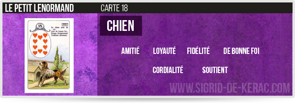 carte du chien petit lenormand